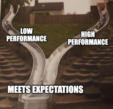 meeets_expectations